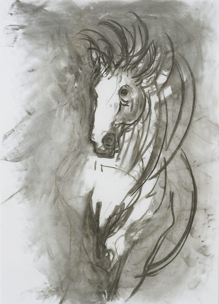 Equus