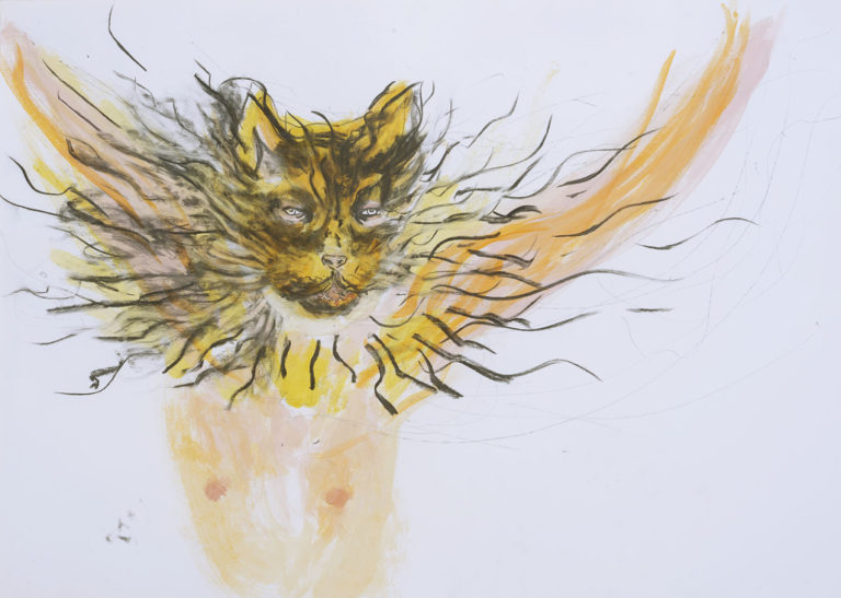Tigerboy