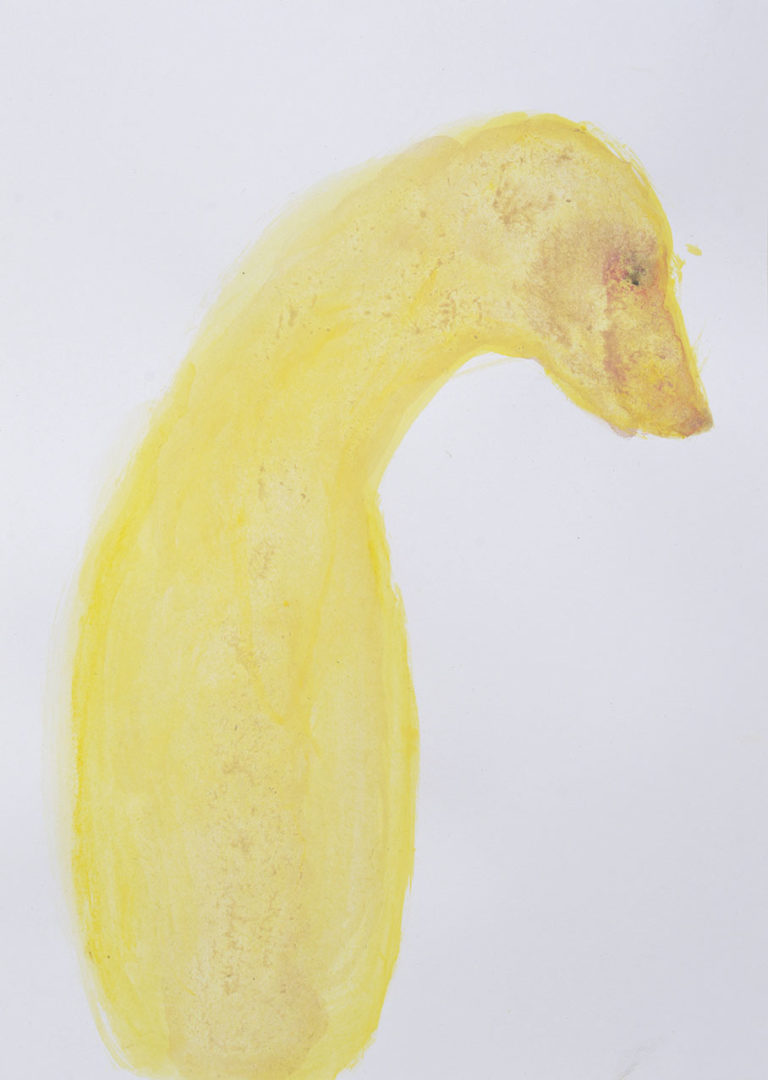 Goldrobbe