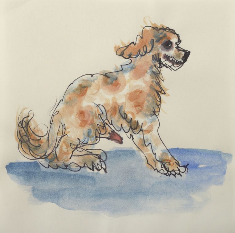 Cane italiano
